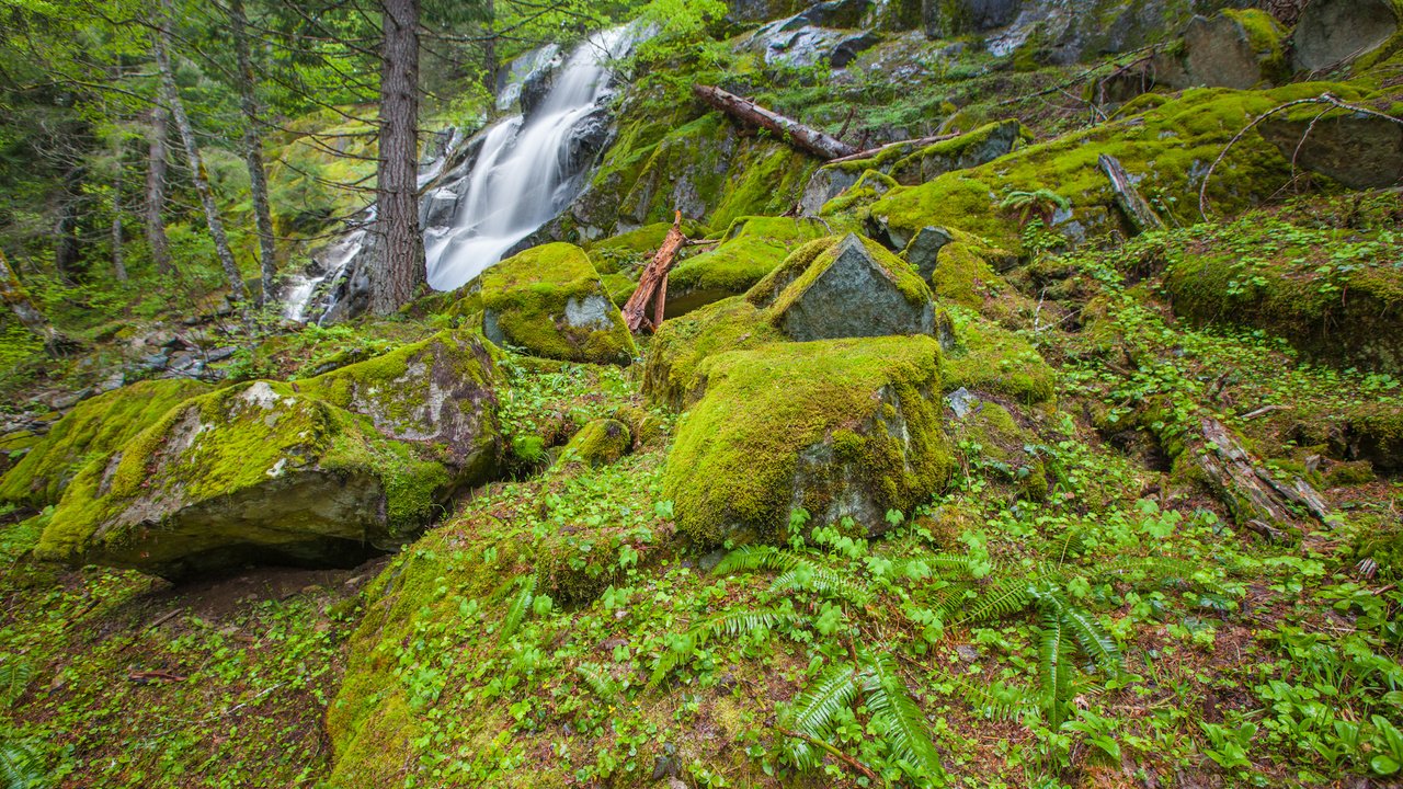 Обои деревья, камни, лес, водопад, мох, trees, stones, forest, waterfall, moss разрешение 2048x1365 Загрузить