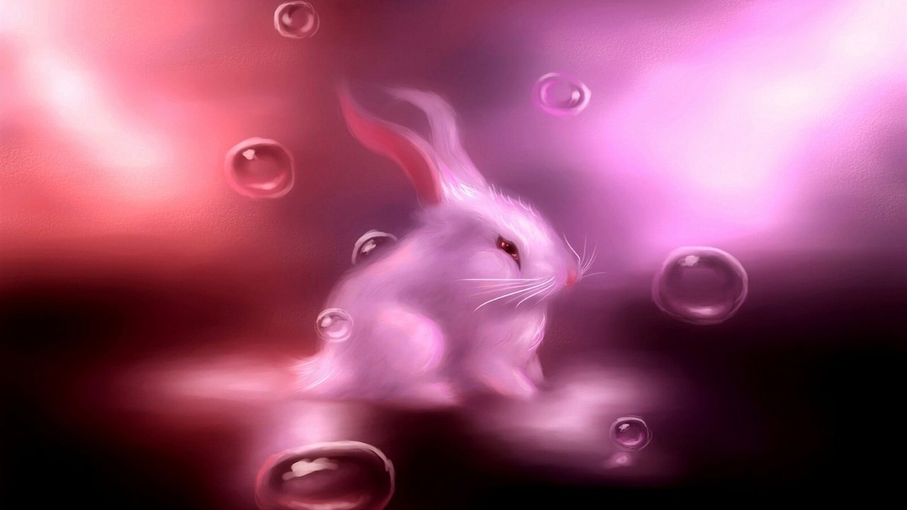 Обои розовый кролик, pink rabbit разрешение 2560x1440 Загрузить