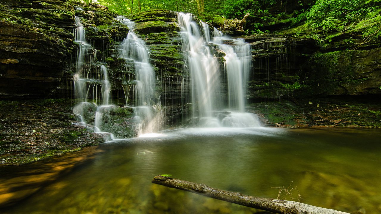 Обои природа, камни, лес, ручей, лето, nature, stones, forest, stream, summer разрешение 1920x1200 Загрузить