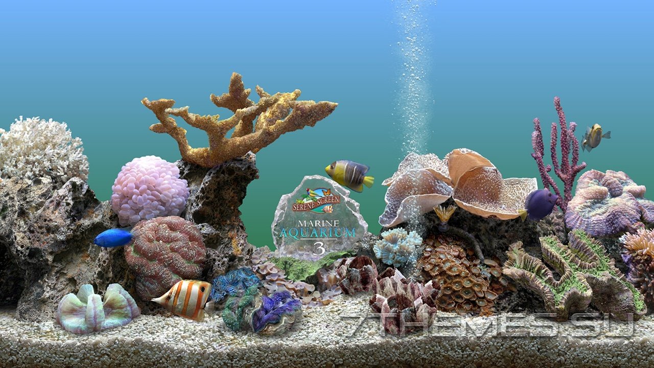 Обои fishy aquarium 3d разрешение 1946x1094 Загрузить