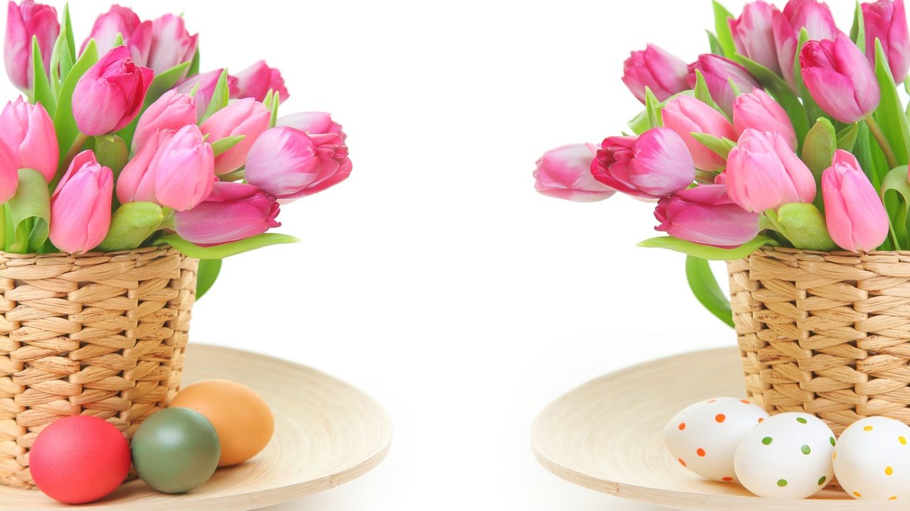 Обои цветы, тюльпаны, пасха, яйца, 8 марта, flowers, tulips, easter, eggs, march 8 разрешение 4360x2818 Загрузить