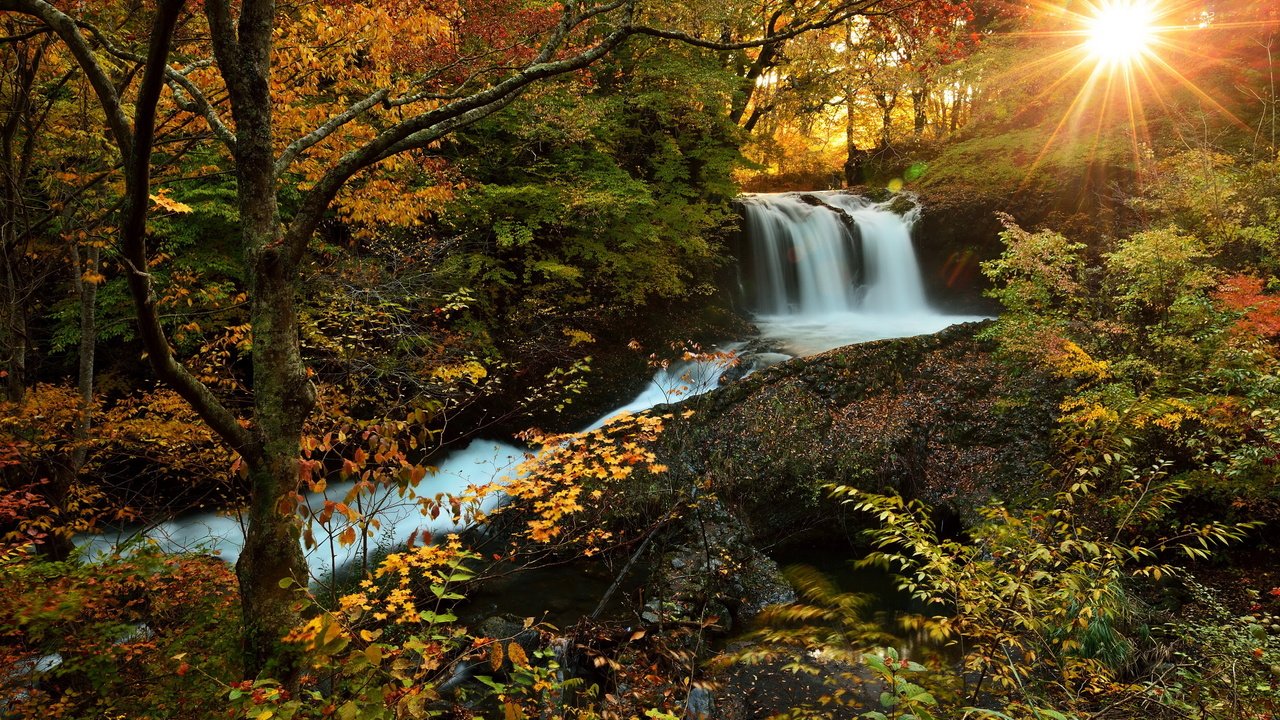 Обои солнце, лес, водопад, осень, природа., the sun, forest, waterfall, autumn, nature. разрешение 3000x1997 Загрузить