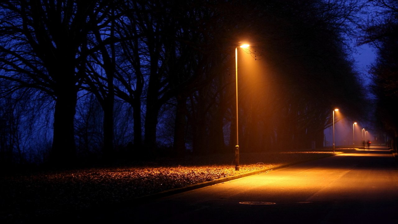 Обои ночь, парк, город, night, park, the city разрешение 1920x1200 Загрузить