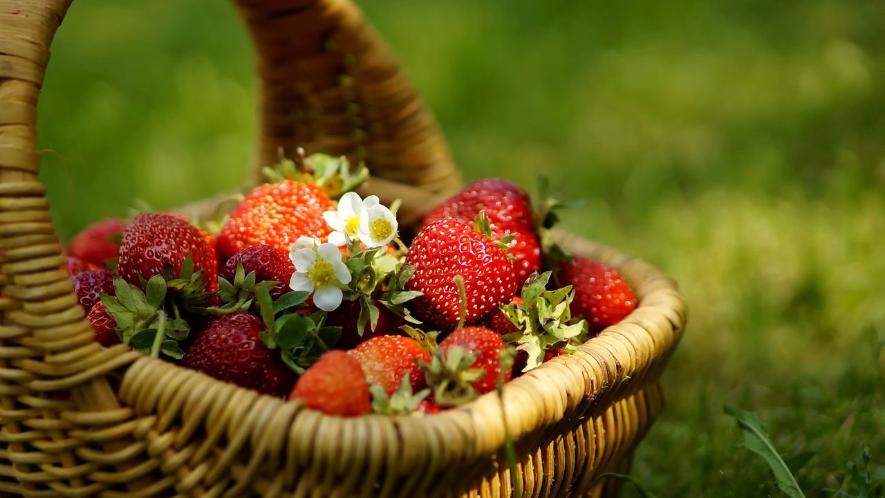 Обои цветы, трава, клубника, ягоды, корзинка, flowers, grass, strawberry, berries, basket разрешение 2048x1356 Загрузить