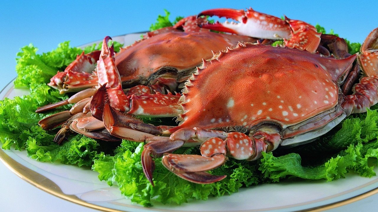 Обои зелень, крабы, тарелка, краб, морепродукты, листья салата, greens, crabs, plate, crab, seafood, lettuce разрешение 1920x1393 Загрузить