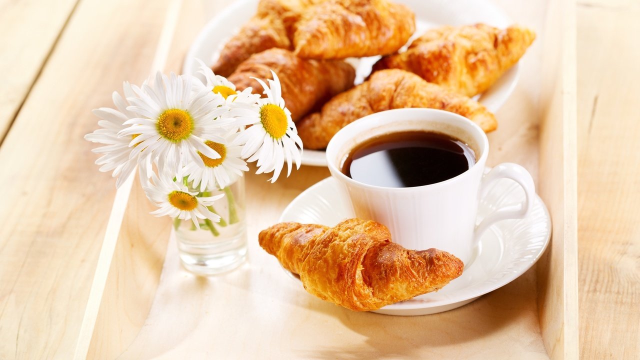 Обои цветы, кофе, ромашки, завтрак,  цветы, круассаны, flowers, coffee, chamomile, breakfast, croissants разрешение 4257x3756 Загрузить