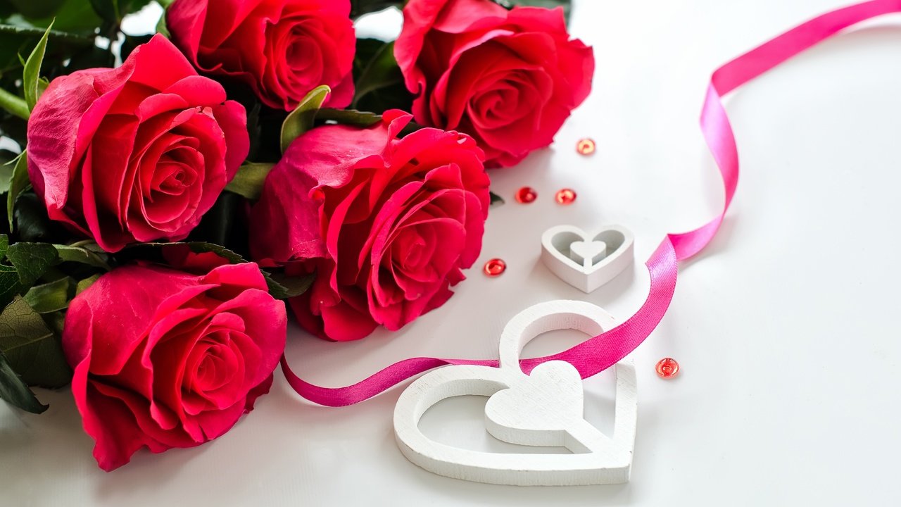 Обои цветы, розы, лепестки, любовь, день святого валентина, flowers, roses, petals, love, valentine's day разрешение 5000x3312 Загрузить