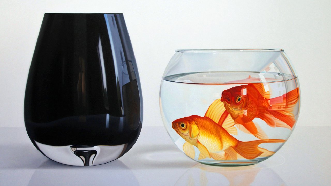 Обои рыбы, стекло, аквариум, золотые рыбки, cтекло, fish, glass, aquarium, goldfish разрешение 5411x3440 Загрузить