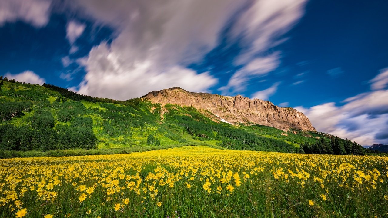 Обои цветы, облака, горы, луг, колорадо, crested butte mountain resort, flowers, clouds, mountains, meadow, colorado разрешение 2048x1280 Загрузить