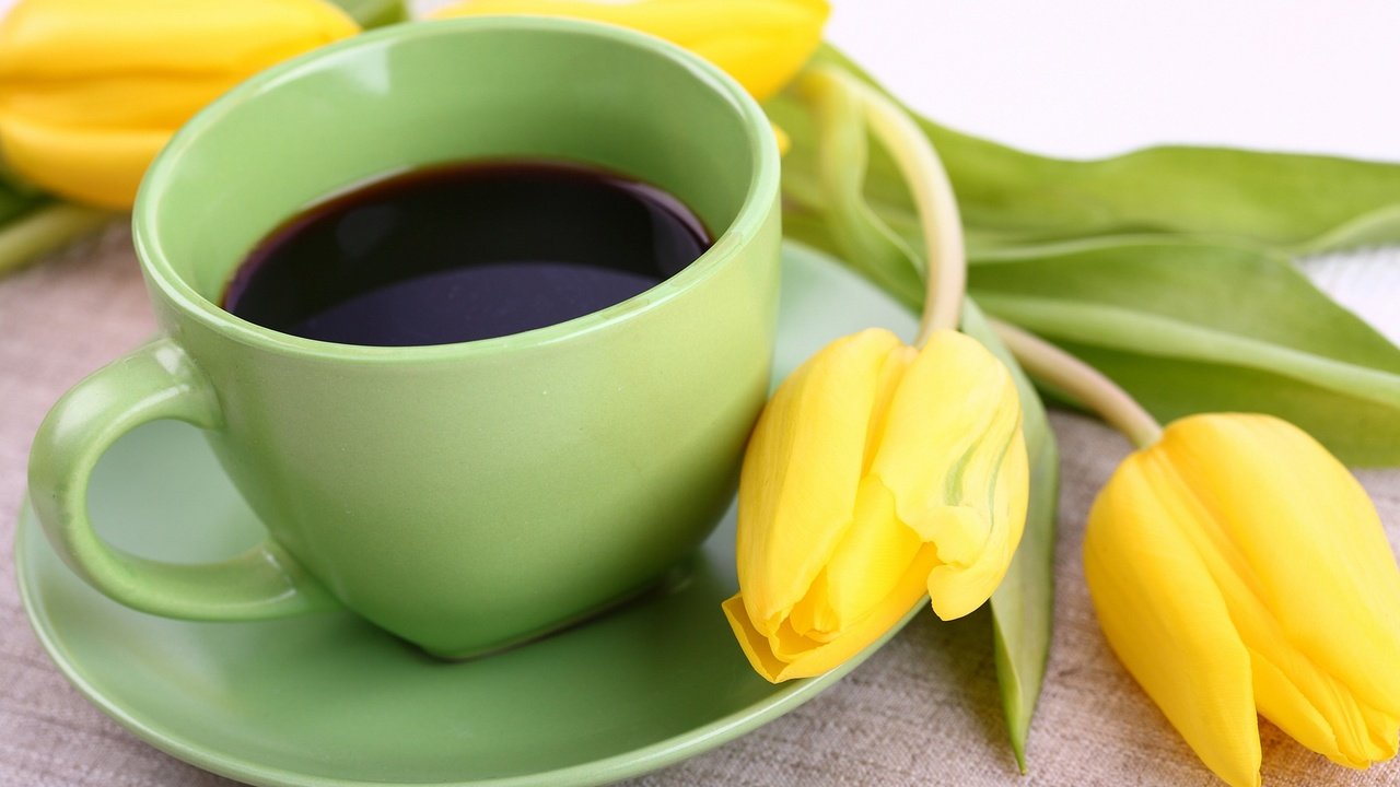 Обои кофе, тюльпаны, чашка, coffee, tulips, cup разрешение 2880x1800 Загрузить