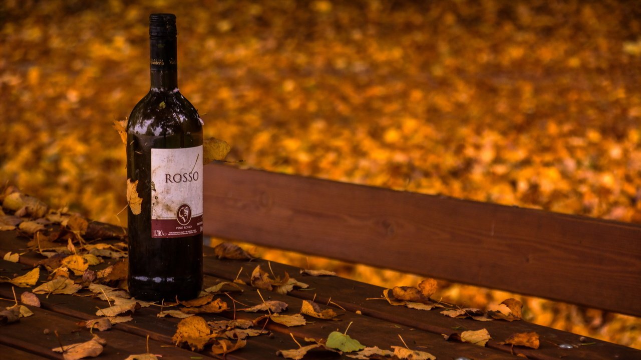 Обои листья, осень, вино, скамья, бутылка, leaves, autumn, wine, bench, bottle разрешение 2560x1707 Загрузить