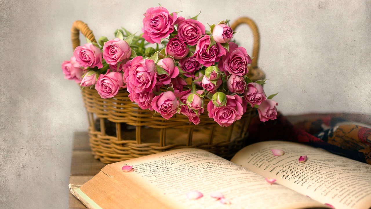 Обои розы, лепестки, корзина, книга, roses, petals, basket, book разрешение 2000x1384 Загрузить