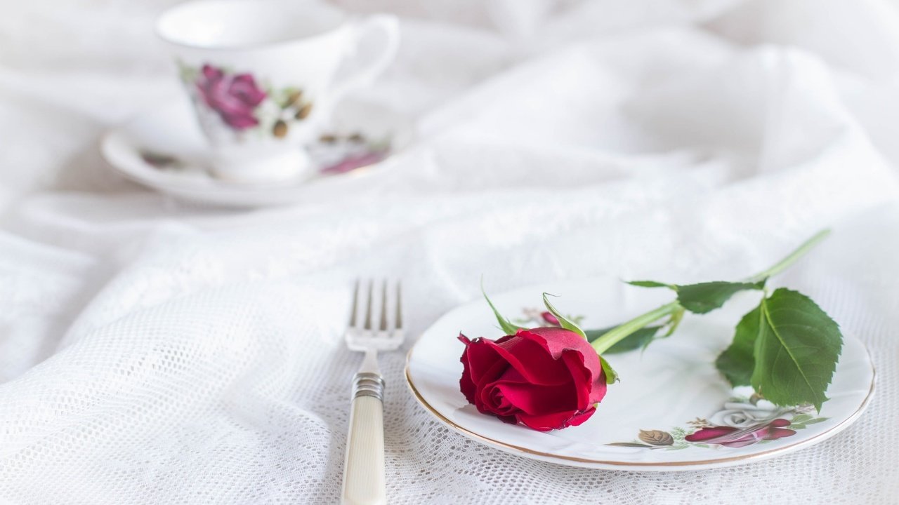Обои стиль, роза, вилка, чашка, тарелка, скатерть, style, rose, plug, cup, plate, tablecloth разрешение 2048x1302 Загрузить