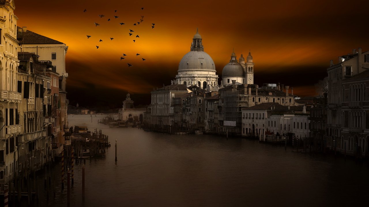 Обои закат, город, венеция, канал, птицы, италия, sunset, the city, venice, channel, birds, italy разрешение 2560x1706 Загрузить