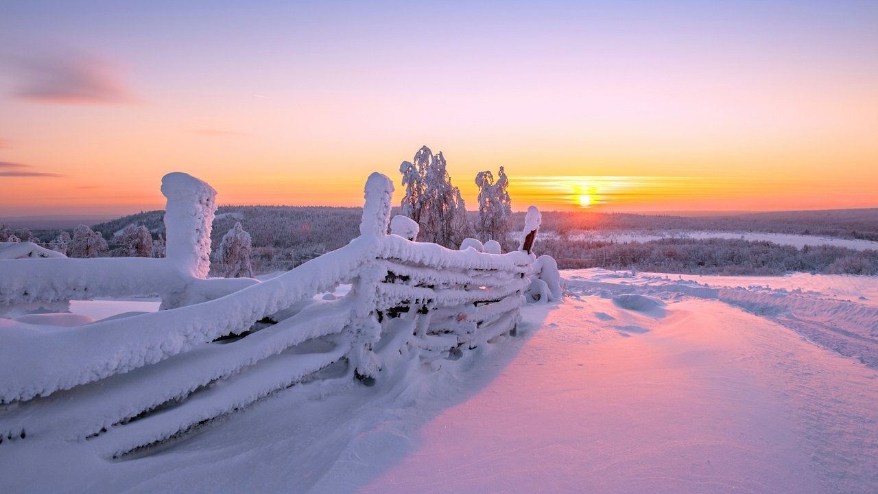 Обои солнце, снег, природа, зима, фон, забор, розовое небо, the sun, snow, nature, winter, background, the fence, pink sky разрешение 2560x1440 Загрузить