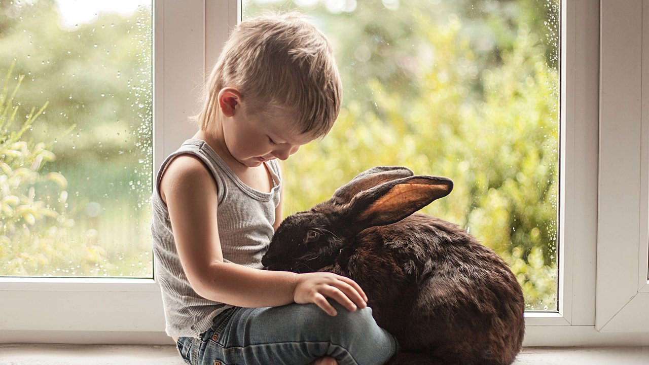 Обои ребенок, кролик, мальчик, друзья, child, rabbit, boy, friends разрешение 2048x1332 Загрузить