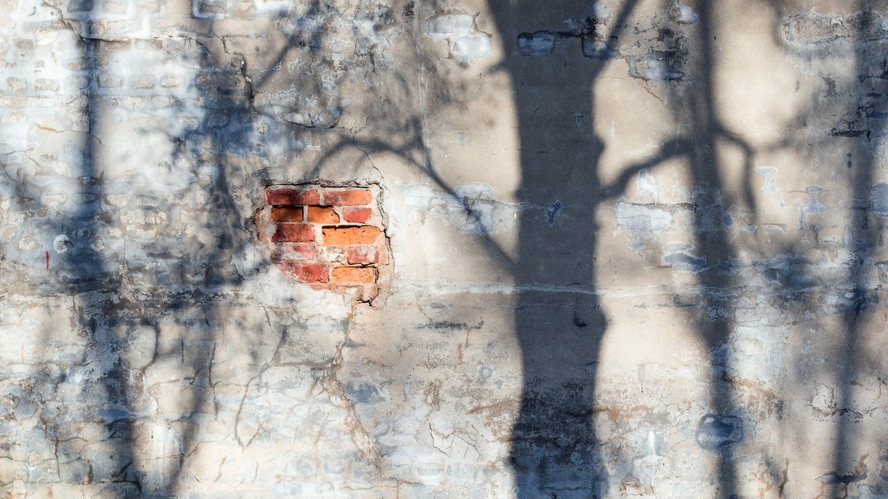 Обои свет, стена, тень, кирпич, light, wall, shadow, brick разрешение 1920x1280 Загрузить