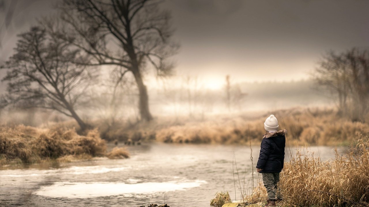 Обои вода, дерево, ручей, дети, ребенок, течение, сухостой, water, tree, stream, children, child, for, deadwood разрешение 2048x2042 Загрузить