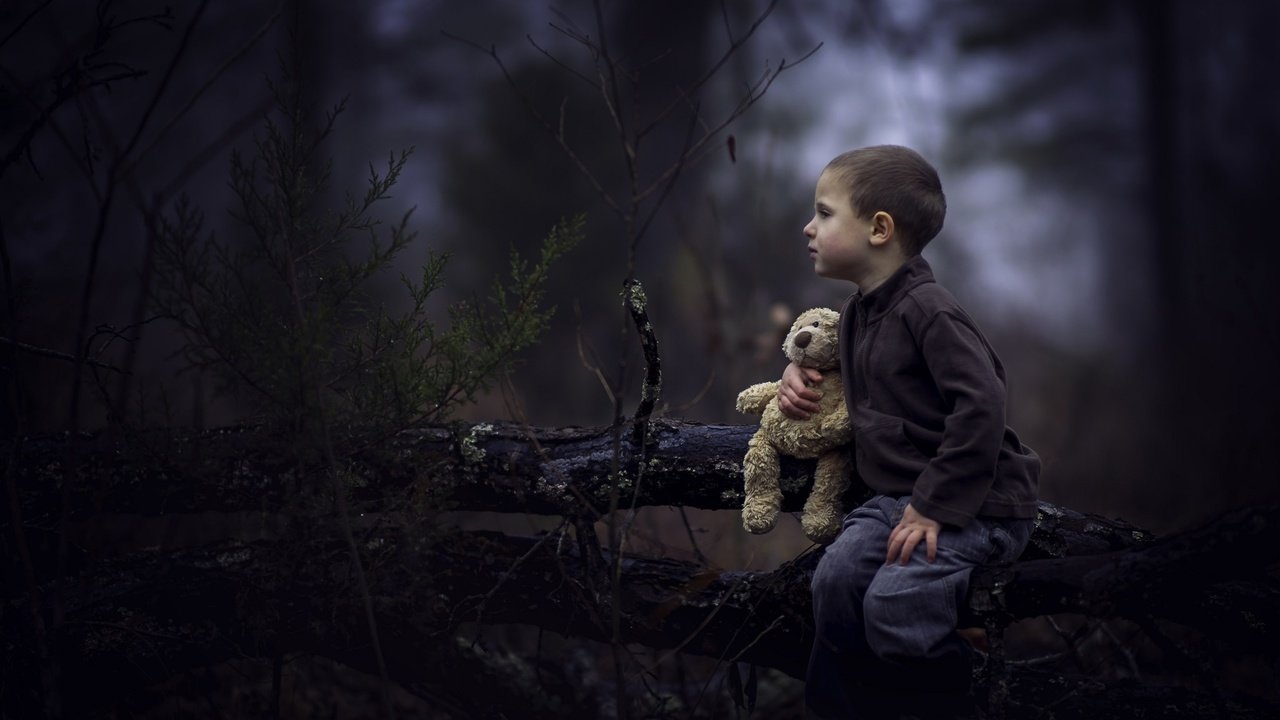 Обои лес, дети, мишка, игрушка, профиль, лицо, мальчик, forest, children, bear, toy, profile, face, boy разрешение 2048x1365 Загрузить