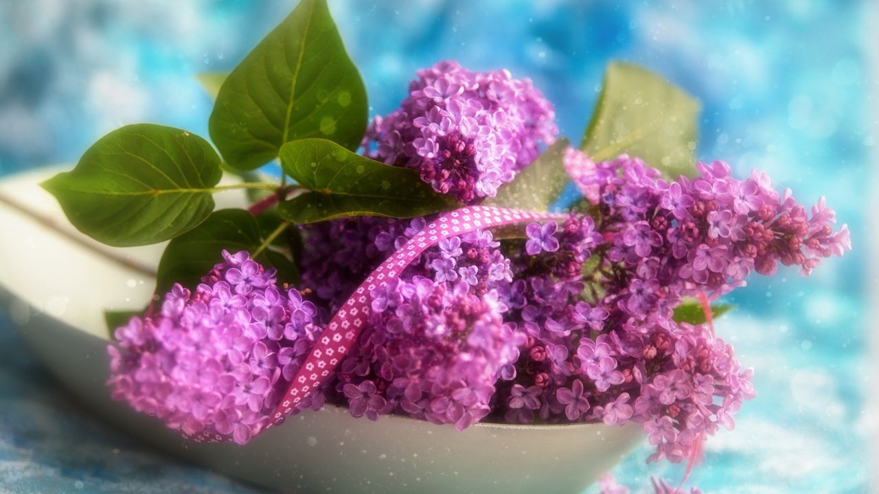 Обои цветы, ветки, лента, букетик, сирень, боке, тесьма, flowers, branches, tape, a bunch, lilac, bokeh, braid разрешение 2048x1362 Загрузить