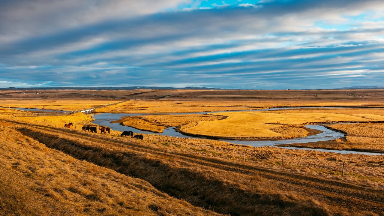 Обои небо, пасутся, трава, облака, река, лошади, кони, пастбище, степь, the sky, grazing, grass, clouds, river, horse, horses, pasture, the steppe разрешение 2688x1920 Загрузить