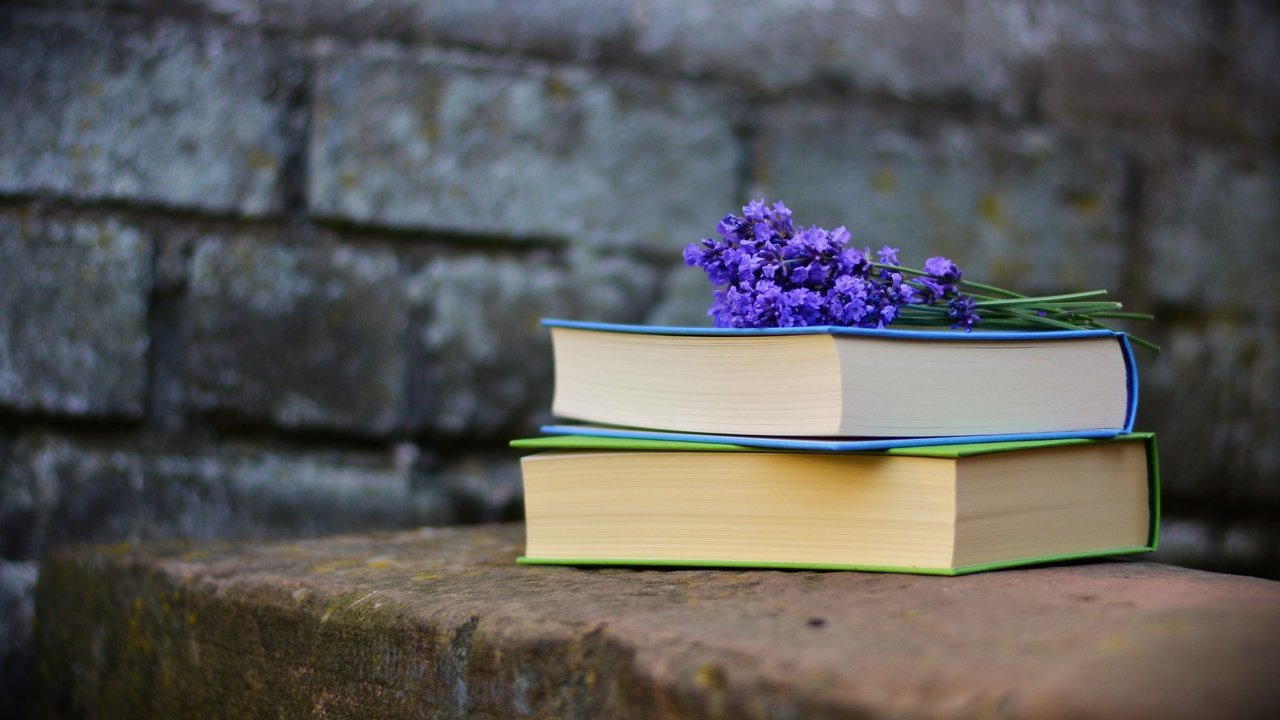 Обои лаванда, стена, книги, кирпичи, чтение, фиолетовые цветы, lavender, wall, books, bricks, reading, purple flowers разрешение 5071x3341 Загрузить