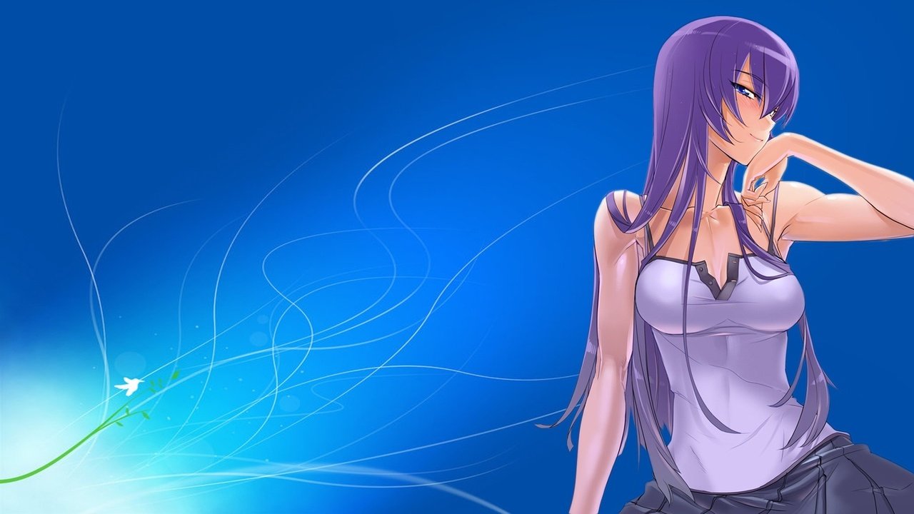 Обои девушка, аниме, волосы, highschool of the dead, busujima saeko, girl, anime, hair разрешение 1920x1080 Загрузить