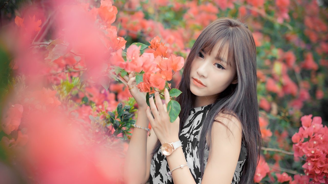 Обои цветы, девушка, часы, волосы, азиатка, боке, flowers, girl, watch, hair, asian, bokeh разрешение 2048x1365 Загрузить