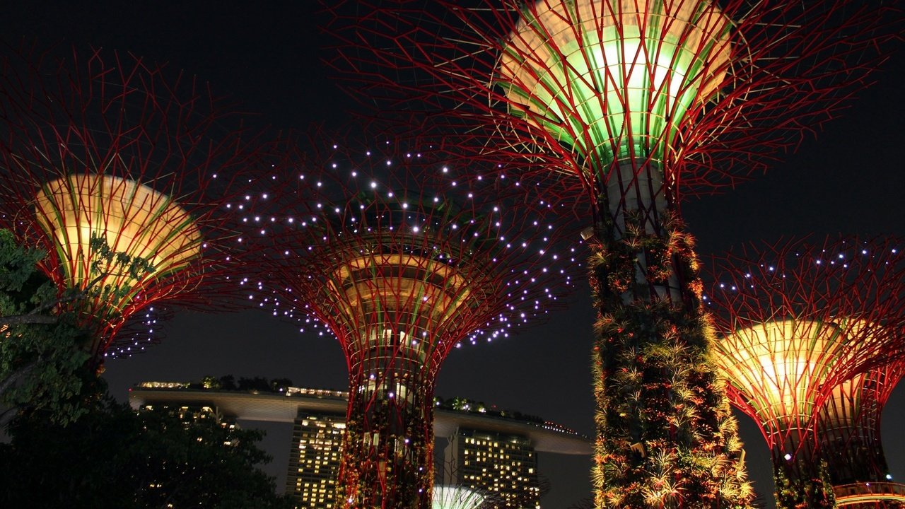 Обои достопримечательность, свет, сингапур, ночь, креативность, деревья, огни, дизайн, азия, фейерверк, освещение, attraction, light, singapore, night, creativity, trees, lights, design, asia, fireworks, lighting разрешение 1920x1280 Загрузить
