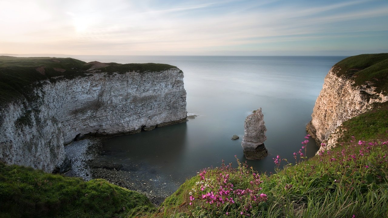 Обои цветы, трава, скалы, природа, берег, море, flowers, grass, rocks, nature, shore, sea разрешение 2048x1372 Загрузить