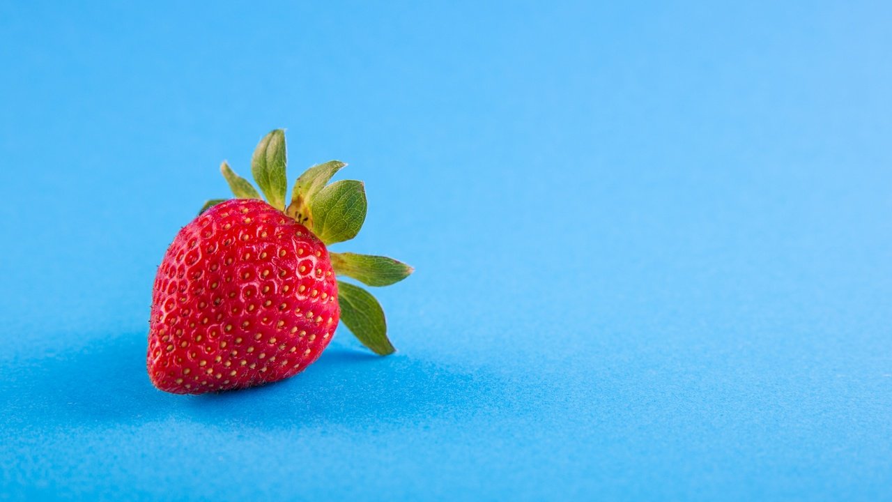 Обои ягода, клубника, голубой фон, berry, strawberry, blue background разрешение 4814x3218 Загрузить