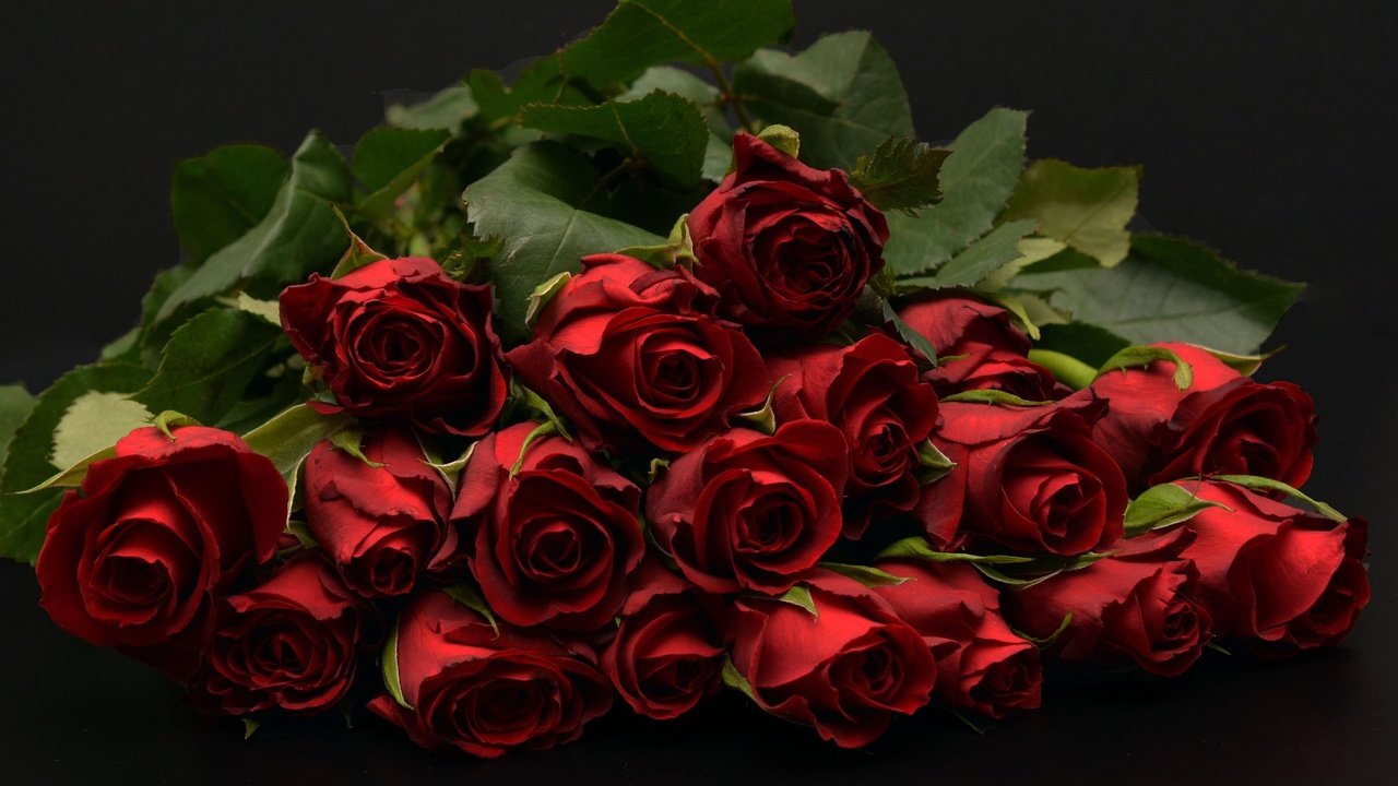 Обои бутоны, фон, букет, темный, красные розы, buds, background, bouquet, dark, red roses разрешение 1920x1280 Загрузить