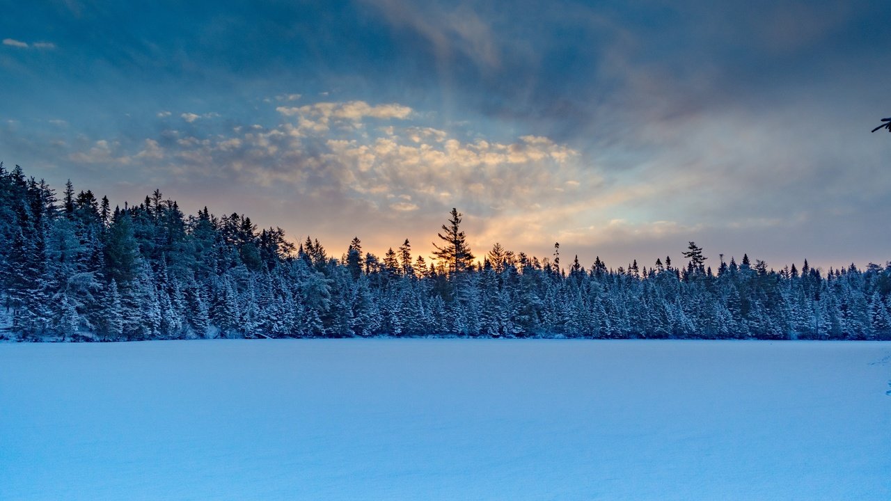 Обои небо, ель, облака, сумерки, деревья, снег, природа, лес, закат, зима, the sky, spruce, clouds, twilight, trees, snow, nature, forest, sunset, winter разрешение 3840x2160 Загрузить