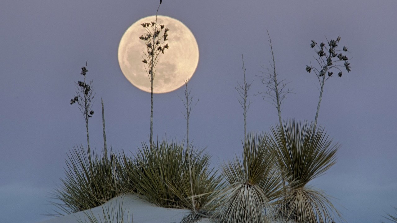 Обои пустыня, луна, сша, нью-мексико, белый песок, white sands national monume, desert, the moon, usa, new mexico, white sand разрешение 2047x1497 Загрузить