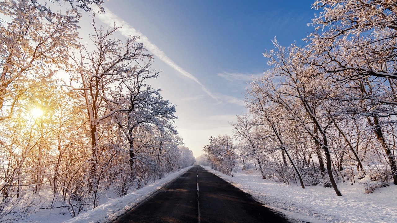 Обои снег, зима, зимний лес, snow, winter, winter forest разрешение 2048x1356 Загрузить