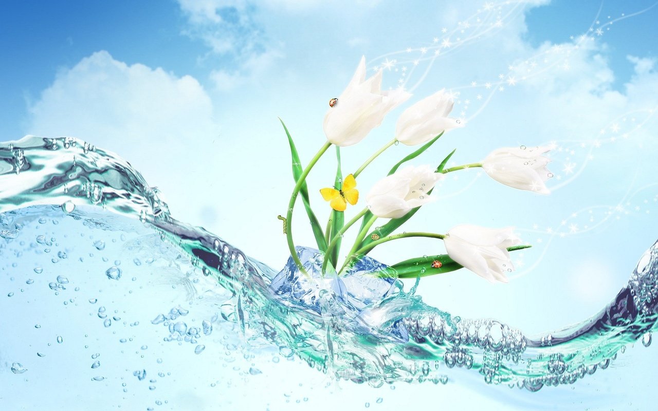 Обои цветы, вода, бабочка, лёд, flowers, water, butterfly, ice разрешение 1920x1200 Загрузить