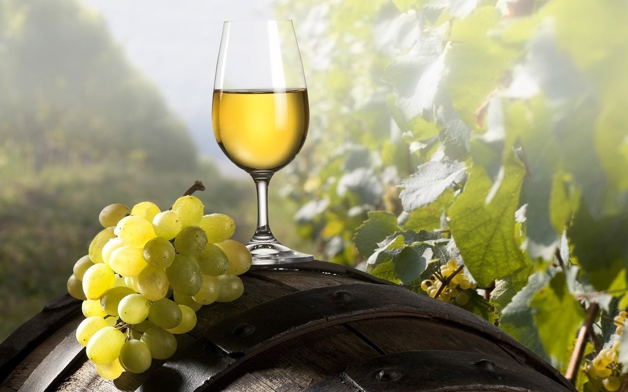 Обои виноград, бокал, вино, кисть, бочка, grapes, glass, wine, brush, barrel разрешение 1920x1200 Загрузить