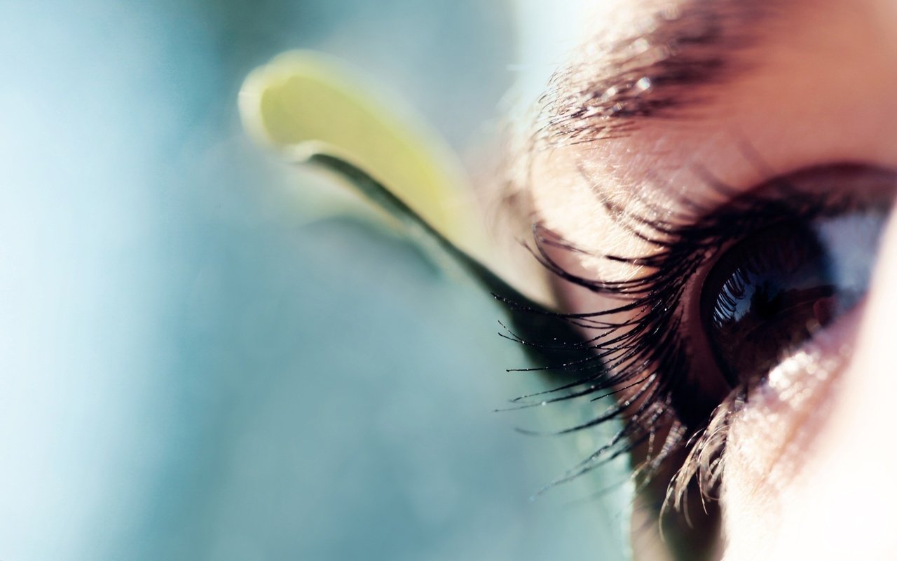 Обои макро, взгляд, глаз, ресницы, macro, look, eyes, eyelashes разрешение 2560x1517 Загрузить