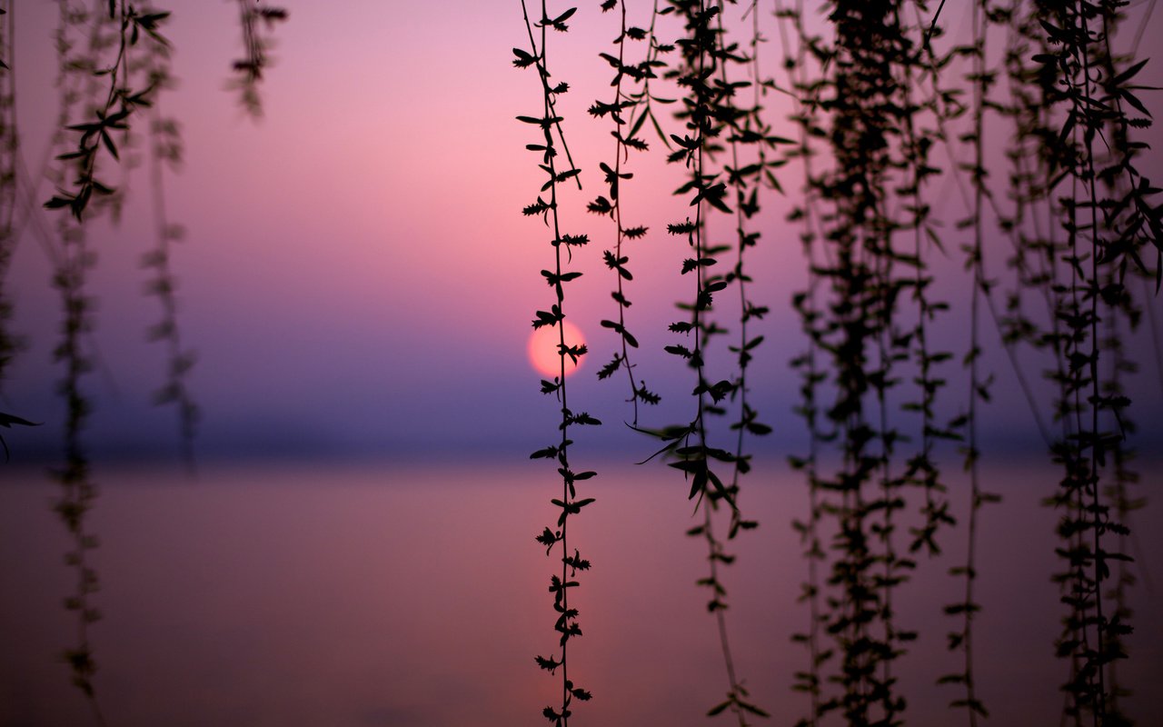 Обои озеро, закат, китай, lake, sunset, china разрешение 2560x1600 Загрузить