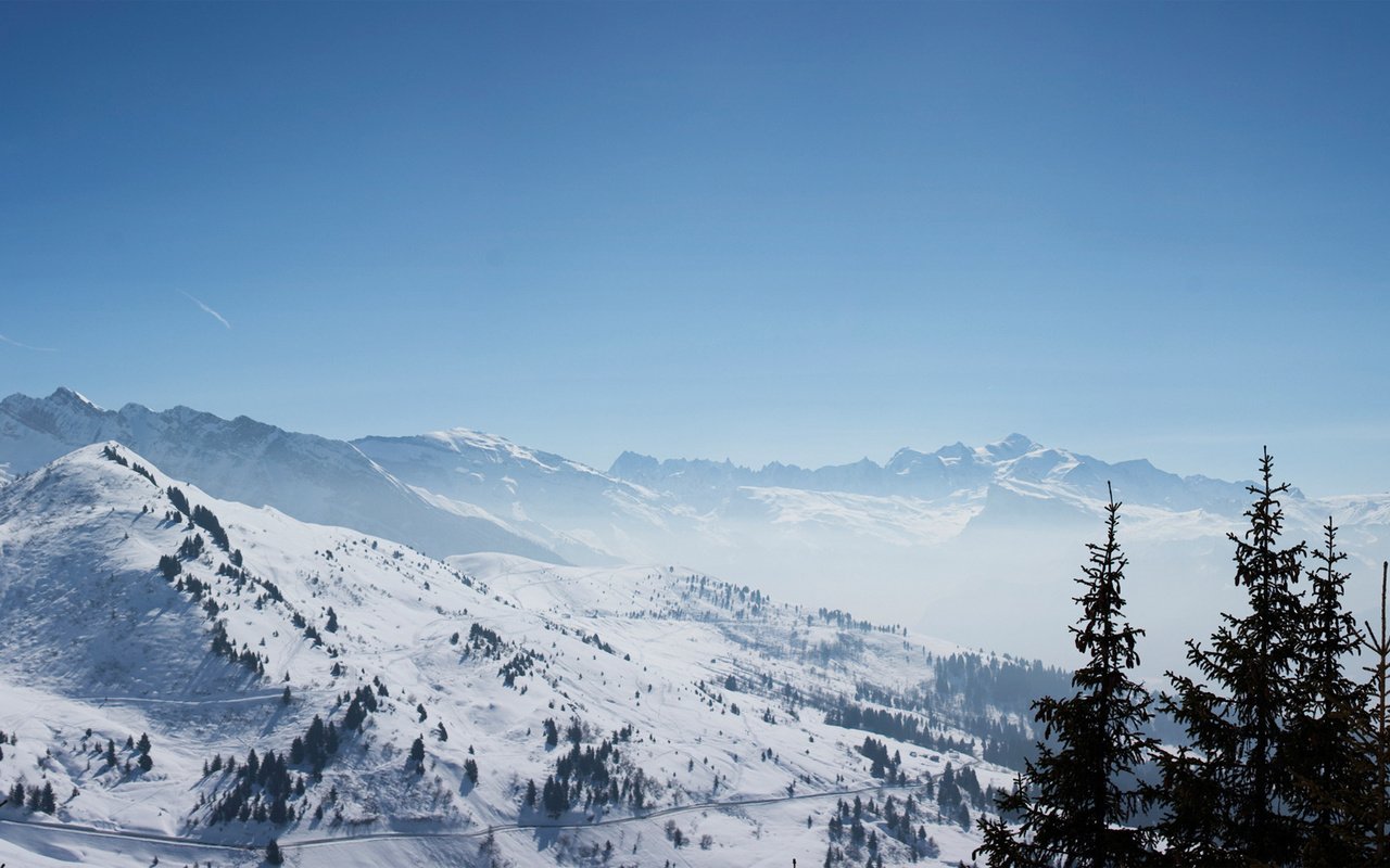 Обои горы, снег, лес, montblanc, mountains, snow, forest разрешение 1920x1080 Загрузить