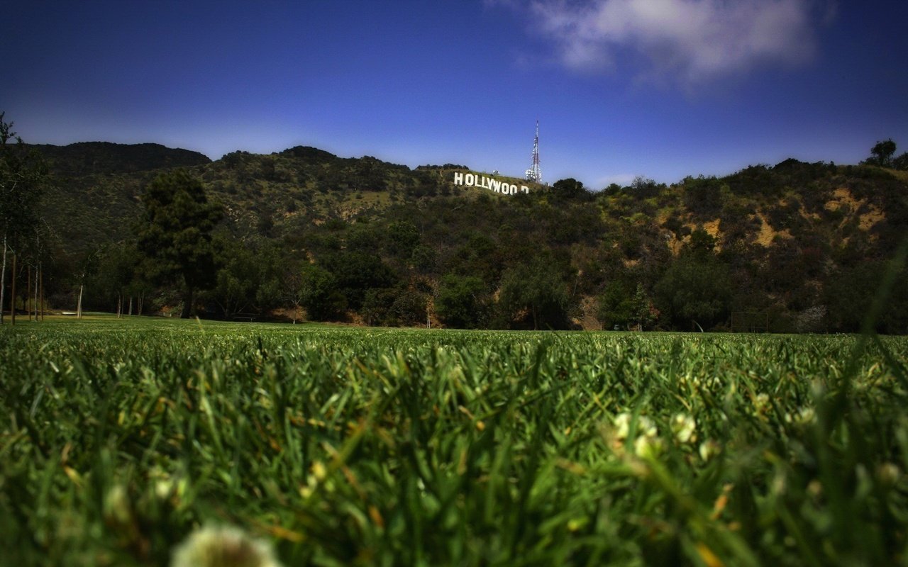 Обои трава, газон, голливуд, grass, lawn, hollywood разрешение 1920x1200 Загрузить