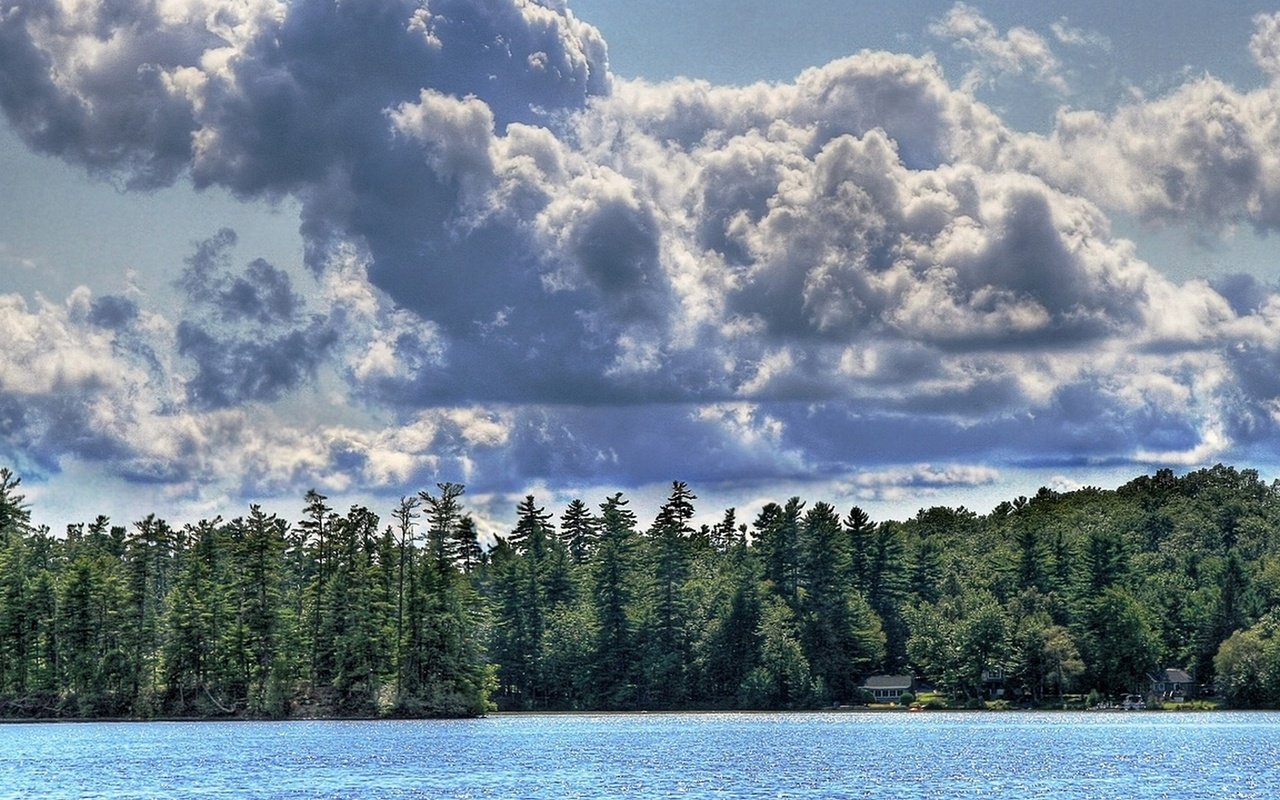 Обои небо, облака, река, лес, ель, the sky, clouds, river, forest, spruce разрешение 1920x1080 Загрузить