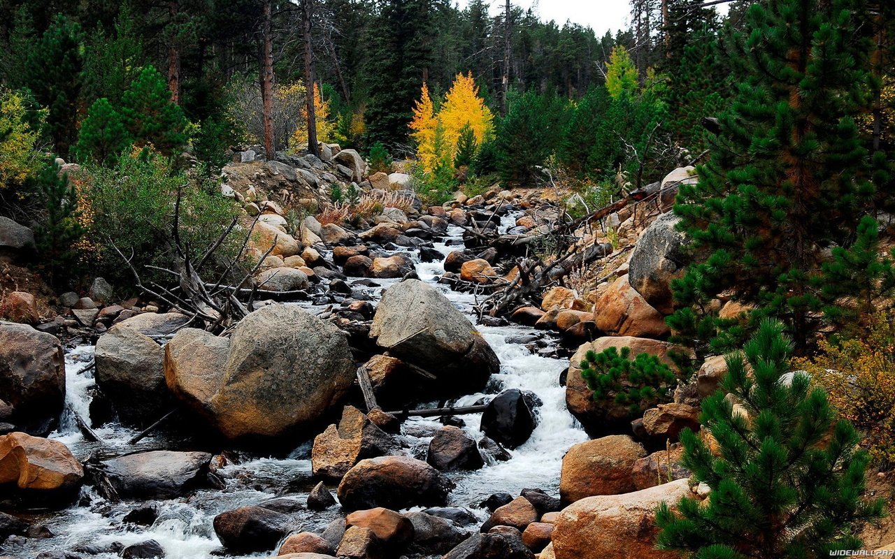 Обои небо, поток, деревья, вода, горы, природа, камни, пейзаж, ручей, the sky, trees, water, mountains, nature, stones, landscape, stream разрешение 1920x1080 Загрузить