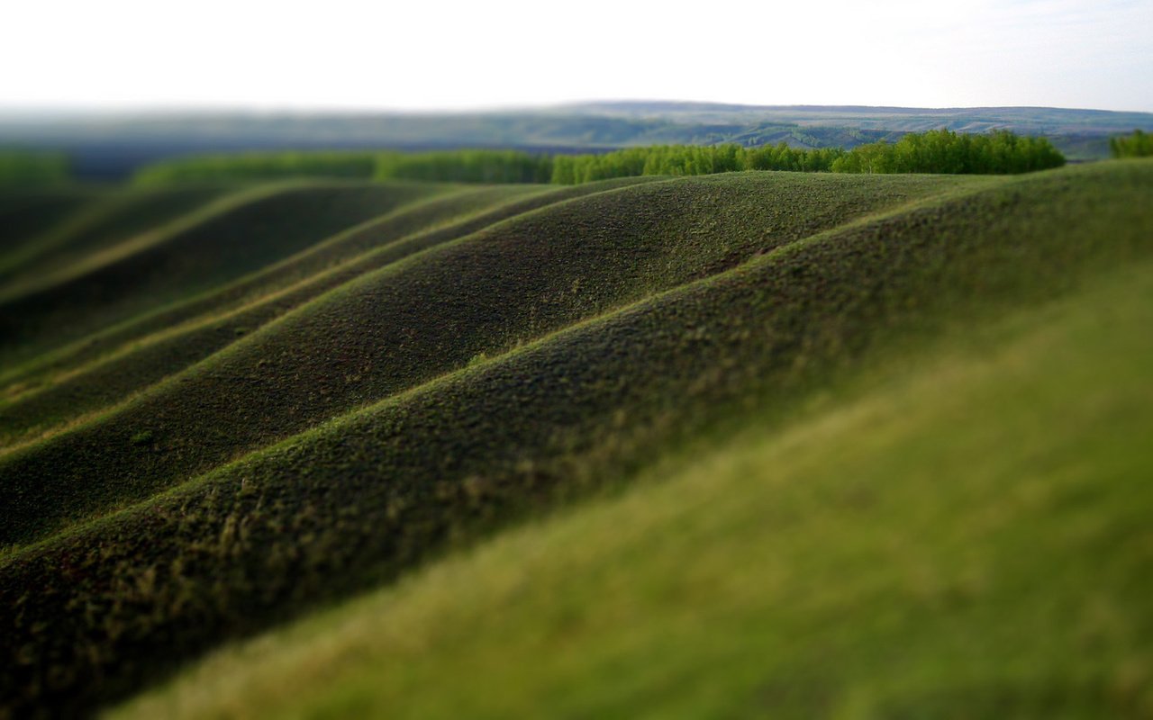 Обои трава, природа, зелень, поле, размытость, холм, grass, nature, greens, field, blur, hill разрешение 1920x1080 Загрузить