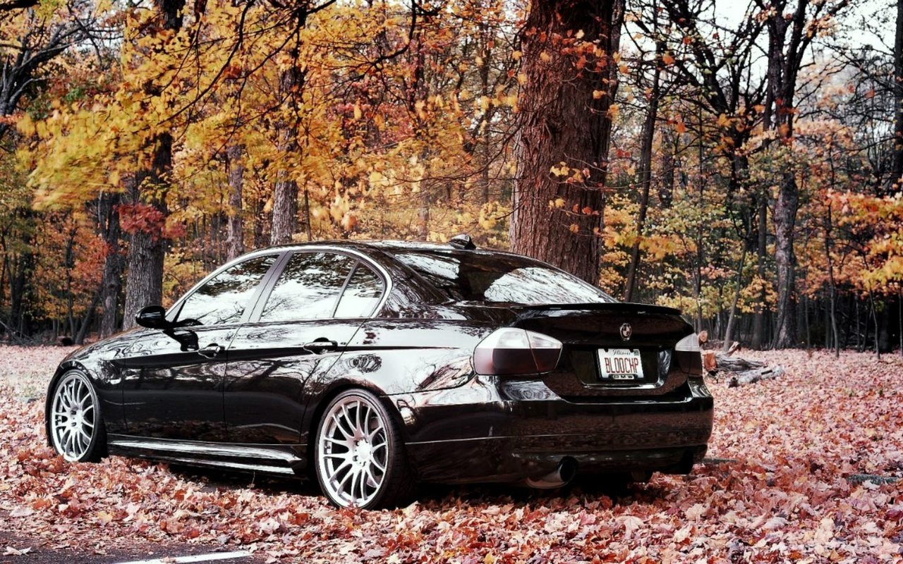 Обои деревья, лес, листва, осень, бмв, trees, forest, foliage, autumn, bmw разрешение 2000x1125 Загрузить