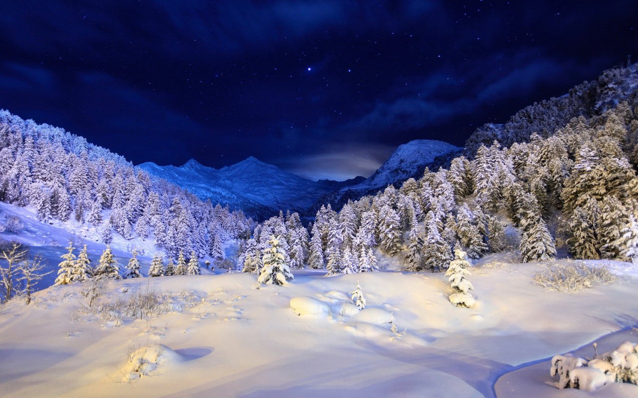 Обои небо, ночь, горы, снег, дерево, лес, зима, the sky, night, mountains, snow, tree, forest, winter разрешение 1920x1200 Загрузить