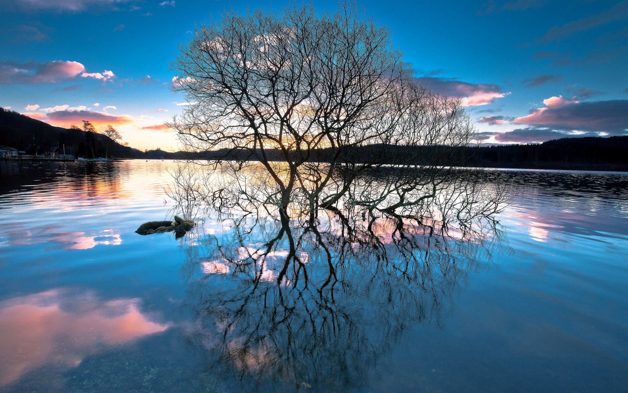 Обои деревья, озеро, лес, закат, отражение, trees, lake, forest, sunset, reflection разрешение 1920x1200 Загрузить