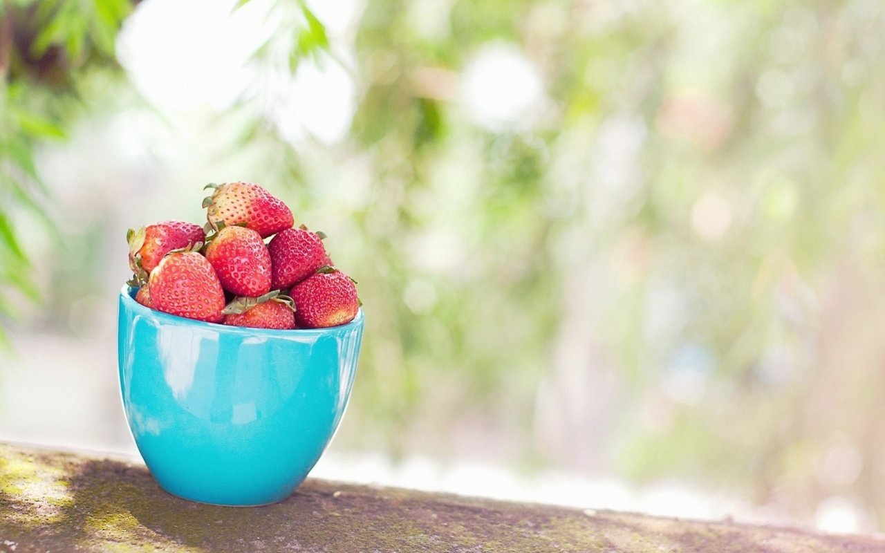 Обои листья, фон, клубника, размытость, ягоды, чашка, голубая, leaves, background, strawberry, blur, berries, cup, blue разрешение 1920x1275 Загрузить