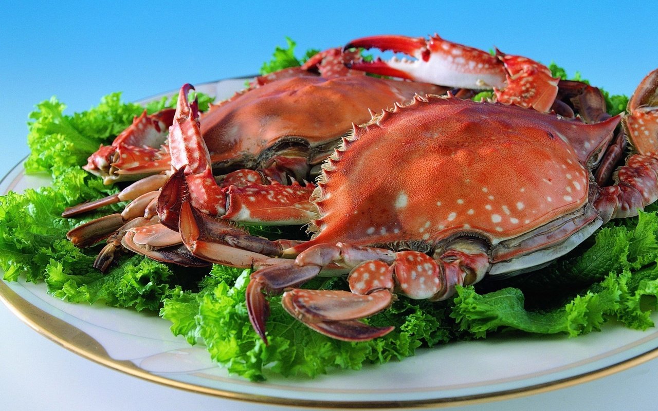 Обои зелень, крабы, тарелка, краб, морепродукты, листья салата, greens, crabs, plate, crab, seafood, lettuce разрешение 1920x1393 Загрузить