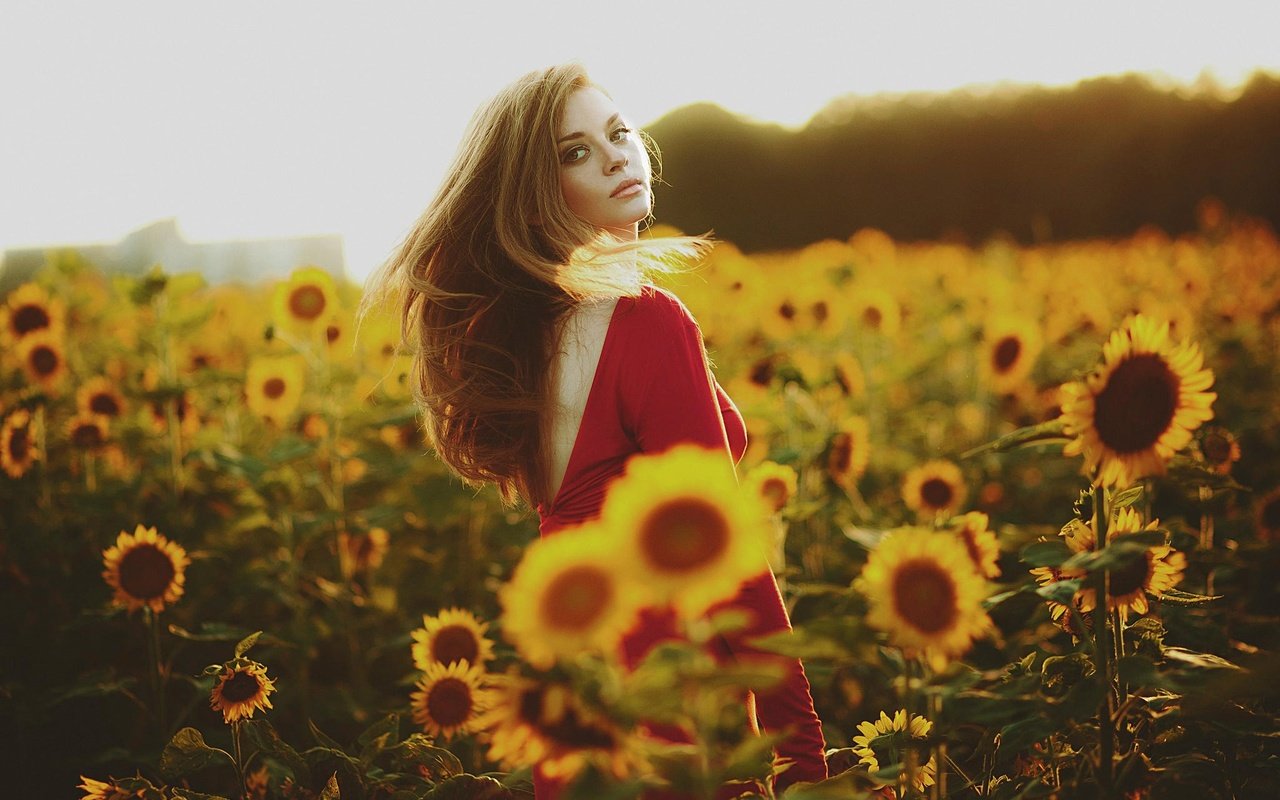 Обои девушка, лето, взгляд, подсолнухи, красное платье, girl, summer, look, sunflowers, red dress разрешение 2048x1365 Загрузить